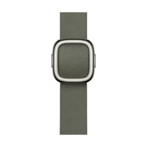 Apple 42mm Sage Gray Modern Buckle - Medium