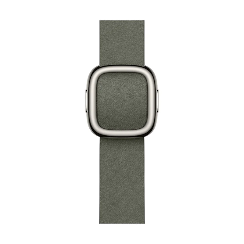 Apple 42mm Sage Gray Modern Buckle - Medium