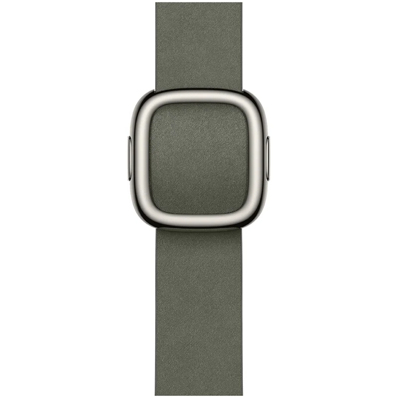 Apple 42mm Sage Gray Modern Buckle - Medium - Image 4