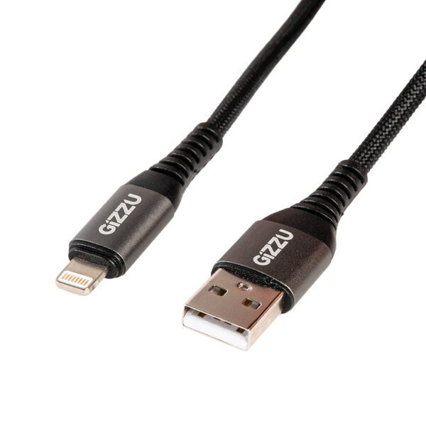 GIZZU 60W 480Mbps Type-C 2m Cable