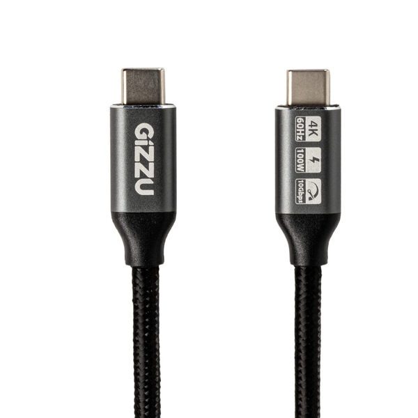 GIZZU 100W 10Gbps Type-C 1m Cable - Image 3