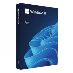 Microsoft Windows 11 Pro