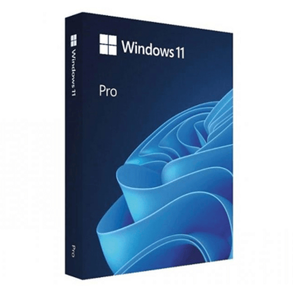 Microsoft Windows 11 Pro